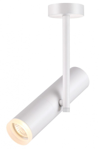 370572 Спот Novotech Batra