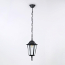 Уличный подвесной светильник с лампочкой Ambrella light ST2029+Lamps