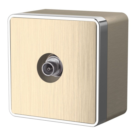 ТВ-розетка оконечная Gallant (шампань рифленый) W5083010 Werkel (a051036) 