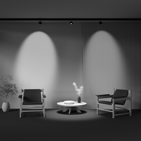 Светильник на штанге Maytoni Technical Lens TR217-2-15W3K-B 