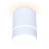 Накладной светильник Ambrella Light TN TN255 