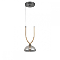 Подвесной светильник Vele Luce Cloe VL5434P01