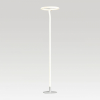 Торшер Lussole Bartow LSP-0920