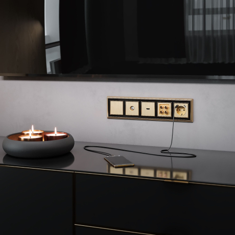 Акустическая розетка (шампань рифленый) Werkel W1185010