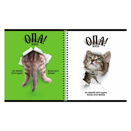 Нарушена упаковка! <402516> Тетрадь А5 96 л. ПЗБМ, гребень, клетка/линия, выборочный лак, перевёртыш, "Опа!" (5 видов), 028558 (404335)