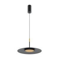 Подвесной светильник Maytoni MOD041PL-L15B3K1 El