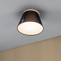 70949 Потолочный светильник Paulmann Mea