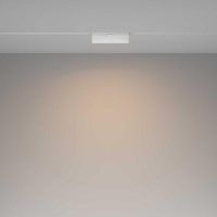 Накладной светильник Maytoni Technical Basis Rot TR036-2-12W3K-W