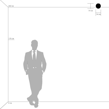 Накладной светильник Lightstar Globo 803010 