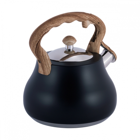 Нарушена упаковка!  <309752> Чайник 2,7л из нержавеющей стали со свистком и нейлоновой ручкой Kamille  1092