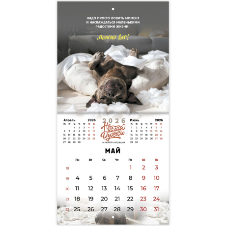 Нарушена упаковка!  <842858> Календарь настенный перекидной 2026 г., BRAUBERG, 12 листов, 21,4х21,4 см, МИНИ, "Не падай духом", 116942