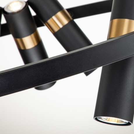 Подвесная люстра Favourite Light point с поддержкой Алиса 2997-9P-A 