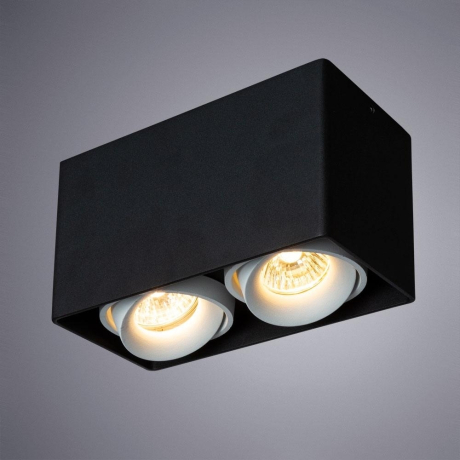 A5654PL-2BK Светильник потолочный Arte Lamp Pictor 
