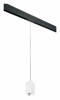 Трековый светильник Lightstar Rullo (216586+595987) PRORP6586