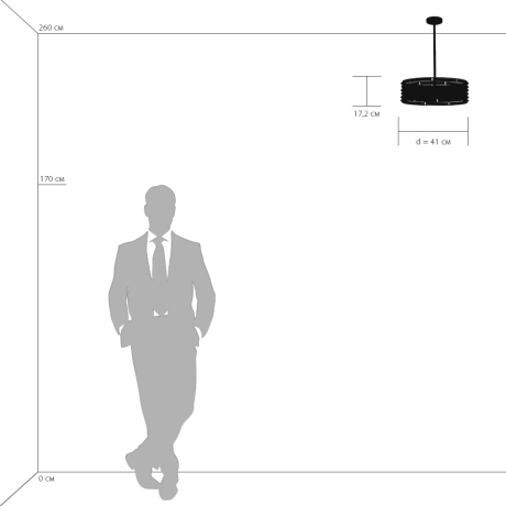 Светильник на штанге Lightstar Amerigo 746048 