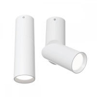 C027CL-L10W Накладной потолочный светильник Maytoni Dafne