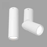 C027CL-L10W Накладной потолочный светильник Maytoni Dafne