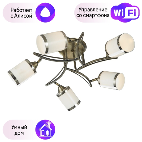 Потолочная люстра Velante с поддержкой Алиса 713-507-05-A 