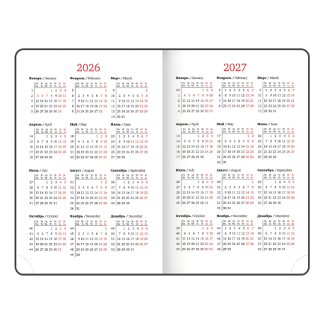 Нарушена упаковка!  <795267> Ежедневник датированный 2026, МАЛЫЙ ФОРМАТ 100х150 мм, А6, BRAUBERG "Rainbow", под кожу, желтый, 117258