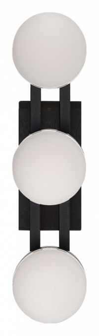 Настенный светильник ST Luce MONRO SL6610.401.03