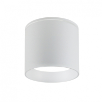 Накладной светильник Favourite Fantum 4662-1U