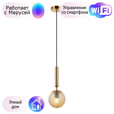 Светильник с поддержкой Маруси подвесной APLOYT APL.766.06.01-M 