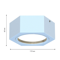 Накладной светильник Favourite Fantum 4665-1U