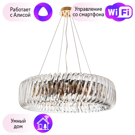 Подвесная люстра Divinare Megan с поддержкой Алиса 7568/18 LM-12-A 