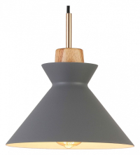 Подвесной светильник Escada Crater 1106/1S  Grey