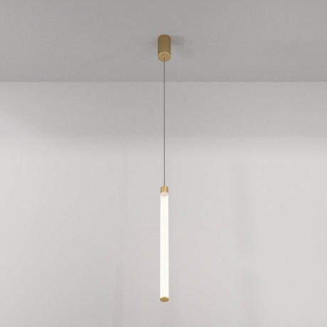 Подвесной светильник Maytoni Technical Ray P022PL-L20G3K 