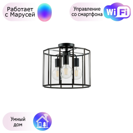 Потолочный светильник Genni Lightstar с поддержкой Маруся 798237 