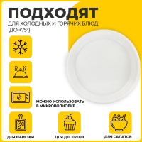 Нарушена упаковка! <270544> Одноразовые тарелки десертные, КОМПЛЕКТ 100 шт., пластик, d=165 мм, СТАНДАРТ, белые, ПП, холодное/горячее, LAIMA, 607388 (607388)