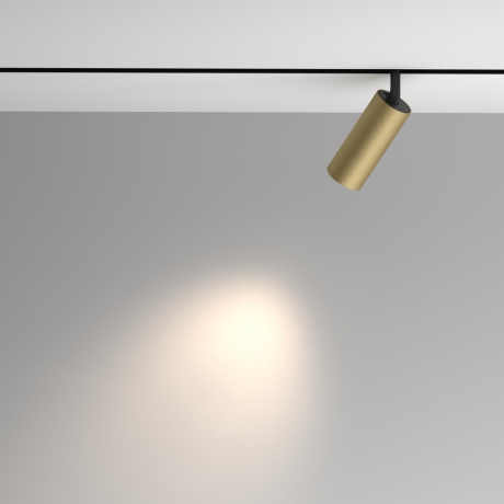 Светильник на штанге Maytoni Technical Artisan TR097-2-12W4K-M-BMG 