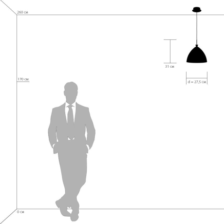 810030 Подвесной светильник Lightstar Simple light 810 