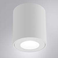 Накладной светильник Arte Lamp Tino A1469PL-1WH