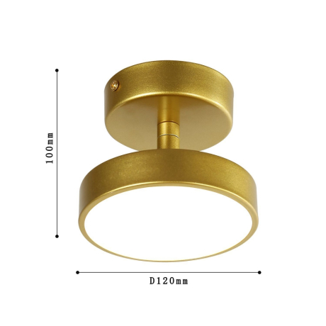 Светильник на штанге F-promo Atma 3059-1P 