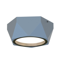 Накладной светильник Favourite Fantum 4669-1U