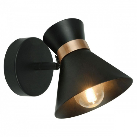 Спот Arte Lamp Baltimore A1406AP-1BK 