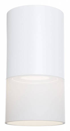 Накладной светильник Maytoni Technical Pauline C007CW-01W 