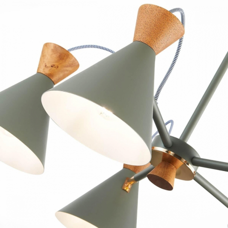 Люстра на штанге Evoluce Modica SLE125112-05 