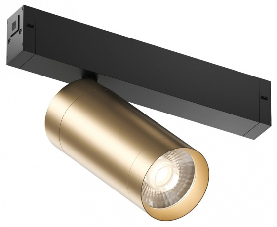 Светильник на штанге Denkirs Smart DK8020-BG 