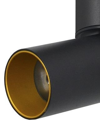 8001/1CS-BK-GD Светильник накладной светодиодный Lumien Hall Торин 