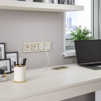 Розетка с заземлением и шторками (слоновая кость) Werkel W1171103