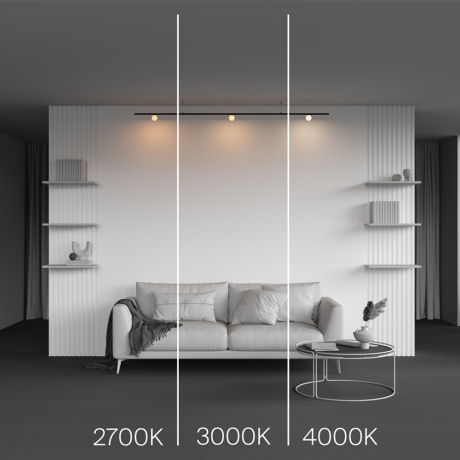 Накладной светильник Maytoni Technical Luna TR185-1-3W4K-B 