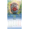 Нарушена упаковка!  <842857> Календарь настенный перекидной 2026 г., BRAUBERG, 12 листов, 21,4х21,4 см, МИНИ, "Magic animals", 116943