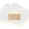 Накладной светильник Ambrella Light FL FL4790 
