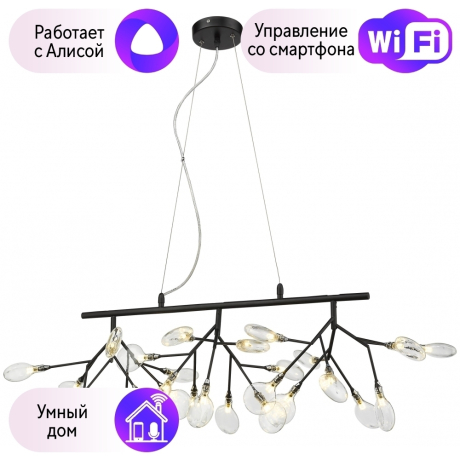 Подвесная люстра Wertmark FIORITA с поддержкой Алиса WE241.27.023-A 