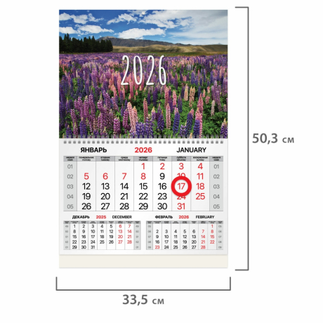 Нарушена упаковка!  <842884> Календарь квартальный 2026 г., 1 блок, 1 гребень, магнитный курсор, мелованная бумага, BRAUBERG, "Люпины", 116915
