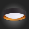 Потолочный светодиодный светильник Evoluce Orbio SLE201102-01 