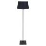 LSP-0514 Торшер Lussole Lgo